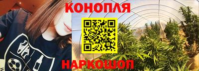 мет Камышлов