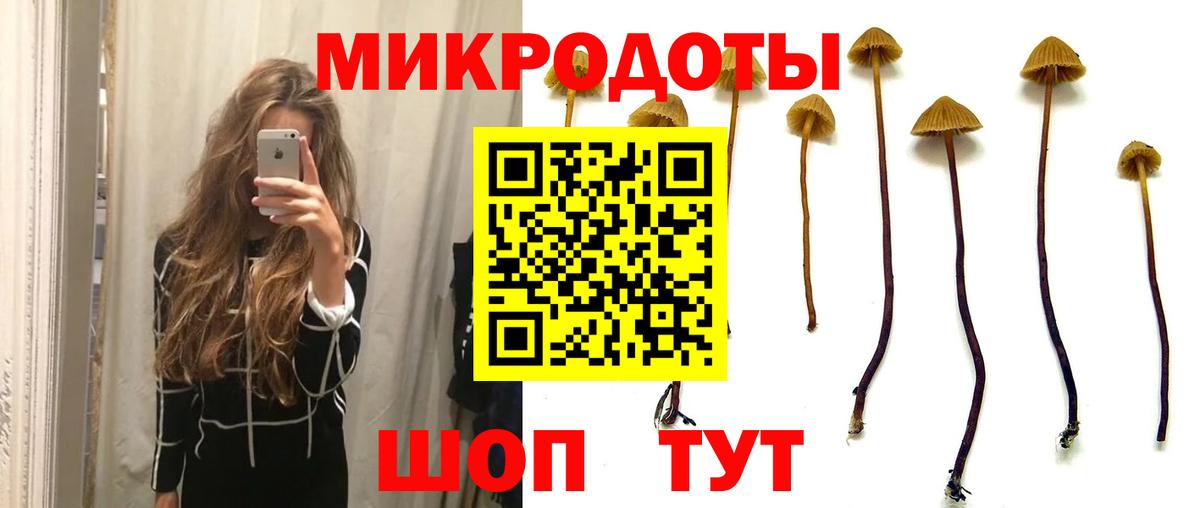 Галлюциногенные грибы прущие грибы Кропоткин